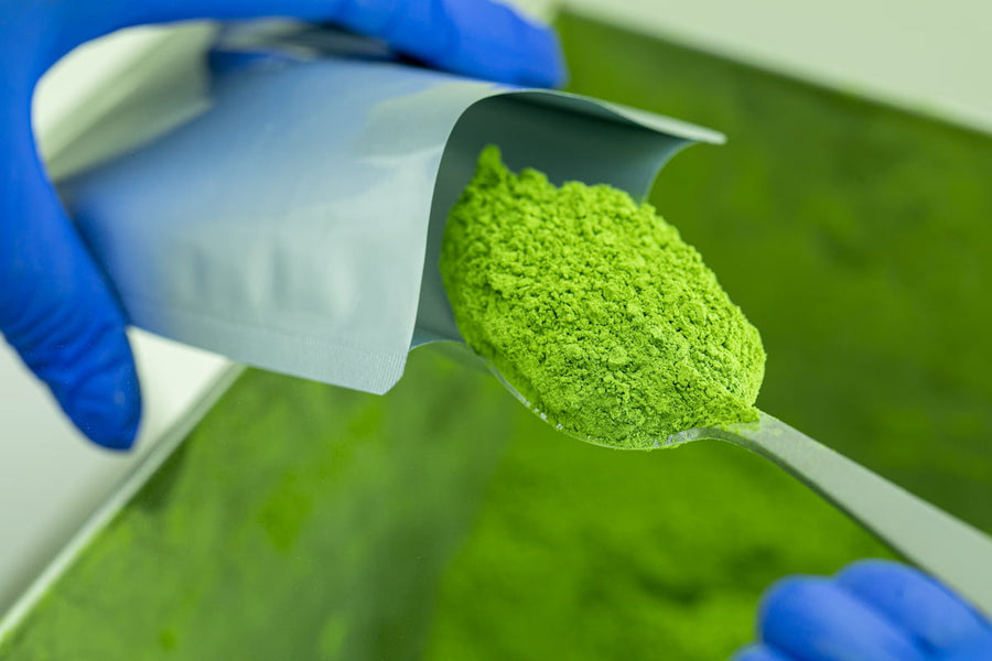 Matcha şi controlul glicemiei – beneficii pentru un stil de viaţă activ